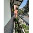 5 Schlafzimmer Appartement zu verkaufen in Medellin, Antioquia, Medellin