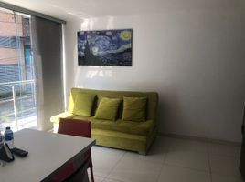 1 Bedroom Condo for rent in Risaralda, Dosquebradas, Risaralda