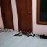 17 Habitación Casa en venta en Sukun, East Jawa, Sukun