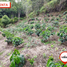 Studio Villa for sale in Guadalupe, Santander, Guadalupe, Santander