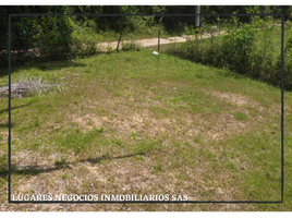  Land for sale in Tolima, Carmen De Apicala, Tolima