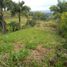  Land for sale in Caldas, Neira, Caldas