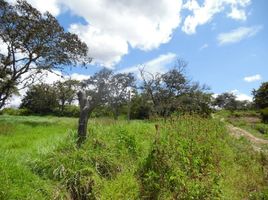  Terreno (Parcela) en venta en Nayon, Quito, Nayon