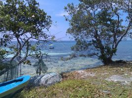  Land for sale in Bohol, Central Visayas, Dauis, Bohol