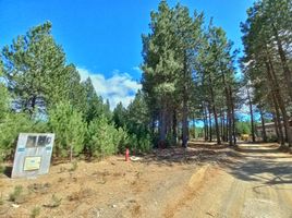  Land for sale in Bariloche, Rio Negro, Bariloche