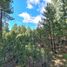  Land for sale in Bariloche, Rio Negro, Bariloche