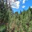  Land for sale in Bariloche, Rio Negro, Bariloche