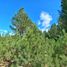  Land for sale in Bariloche, Rio Negro, Bariloche