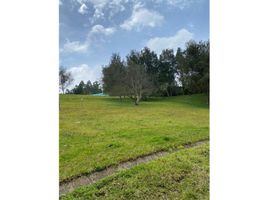  Land for sale in Envigado, Antioquia, Envigado