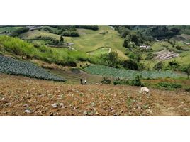  Land for sale in Caldas, Manizales, Caldas