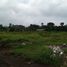  Land for sale in Malang Regency, East Jawa, Pakis, Malang Regency