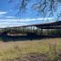  Land for sale in Linares, Nuevo Leon, Linares