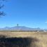  Land for sale in Linares, Nuevo Leon, Linares