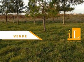  Grundstück zu verkaufen in Brandsen, Buenos Aires, Brandsen