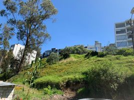  Land for sale in Basilica of the National Vow, Quito, Quito, Quito