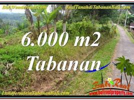  Land for sale in Selemadeg, Tabanan, Selemadeg