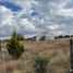  Land for sale in Fresnillo, Zacatecas, Fresnillo, Zacatecas