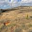 Land for sale in Fresnillo, Zacatecas, Fresnillo