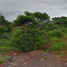  Land for sale in San Miguel De Mocoa, Putumayo, San Miguel De Mocoa