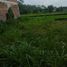  Land for sale in Ngemplak, Sleman, Ngemplak