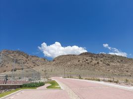  Land for sale in Villa De Reyes, San Luis Potosi, Villa De Reyes