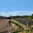  Land for sale in Surabaya East Jawa, Lakarsantri, Surabaya, East Jawa