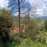  Terreno (Parcela) en venta en San Cristobal De Las Casas, Chiapas, San Cristobal De Las Casas