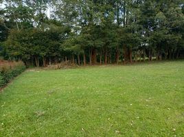  Terreno (Parcela) en venta en Rionegro, Antioquia, Rionegro