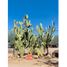 Studio House for sale in Hermosillo, Sonora, Hermosillo