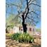 Studio House for sale in Hermosillo, Sonora, Hermosillo