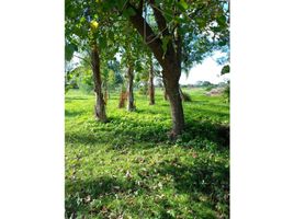  Terreno (Parcela) en venta en Primero De Mayo, Chaco, Primero De Mayo