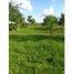  Terreno (Parcela) en venta en Primero De Mayo, Chaco, Primero De Mayo