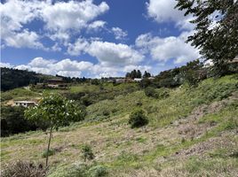  Terreno (Parcela) en venta en Guarne, Antioquia, Guarne