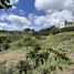  Land for sale in Guarne, Antioquia, Guarne