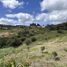  Land for sale in Guarne, Antioquia, Guarne