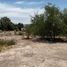  Terreno (Parcela) en venta en Lerdo, Durango, Lerdo, Durango