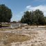  Terreno (Parcela) en venta en Lerdo, Durango, Lerdo, Durango