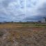  Land for sale in Manta, Manabi, Manta, Manta
