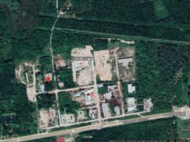  Grundstück zu verkaufen in Othon P Blanco, Quintana Roo, Othon P Blanco