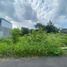  Terreno (Parcela) en venta en Gamping, Yogyakarta, Gamping, Sleman