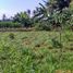  Terrain for sale in Blahbatu, Gianyar, Blahbatu