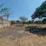  Land for sale in Tecoman, Colima, Tecoman