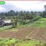  Land for sale in Penebel, Tabanan, Penebel