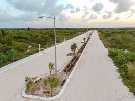  Grundstück zu verkaufen in Telchac Puerto, Yucatan, Telchac Puerto, Yucatan