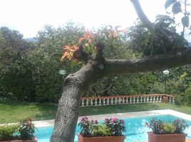  Terreno (Parcela) en venta en Cumbaya, Pichincha, Cumbaya