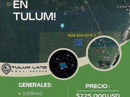  Grundstück zu verkaufen in Cozumel, Quintana Roo, Cozumel