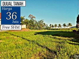  Land for sale in Banyuwangi, East Jawa, Gambiran, Banyuwangi