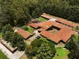 Studio Haus zu verkaufen in Zitacuaro, Michoacan, Zitacuaro