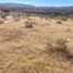  Terreno (Parcela) en venta en Morelos, Zacatecas, Morelos