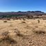  Terreno (Parcela) en venta en Morelos, Zacatecas, Morelos